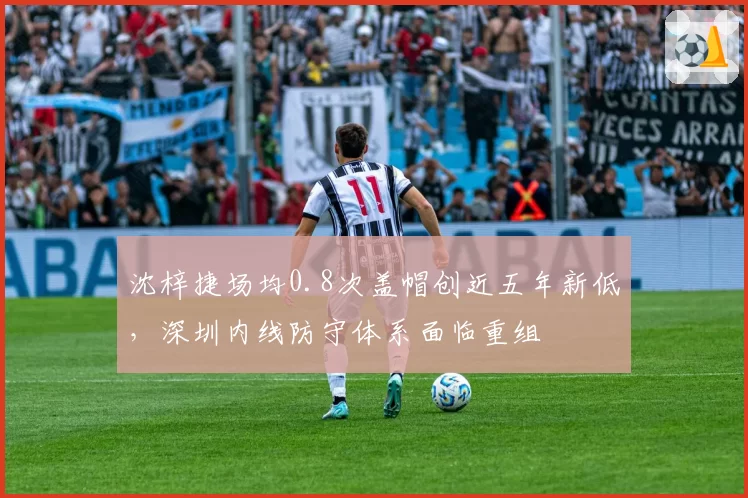 沈梓捷场均0.8次盖帽创近五年新低,深圳内线防守体系面临重组